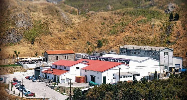 Οινοποιείο «Ένωσης»: Από το καλό στο καλύτερο τα δεδομένα (audio)