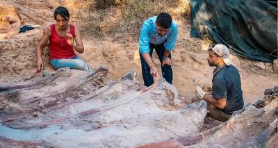 &Omicron; &mu;&epsilon;&gamma;&alpha;&lambda;ύ&tau;&epsilon;&rho;&omicron;&sigmaf; &delta;&epsilon;&iota;&nu;ό&sigma;&alpha;&upsilon;&rho;&omicron;&sigmaf; &sigma;&tau;&eta;&nu; &Epsilon;&upsilon;&rho;ώ&pi;&eta; &beta;&rho;έ&theta;&eta;&kappa;&epsilon; &sigma;&tau;&eta;&nu; &pi;ί&sigma;&omega; &alpha;&upsilon;&lambda;ή &epsilon;&nu;ό&sigmaf; &sigma;&pi;&iota;&tau;&iota;&omicron;ύ &sigma;&tau;&eta;&nu; &Pi;&omicron;&rho;&tau;&omicron;&gamma;&alpha;&lambda;ί&alpha;