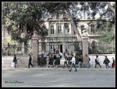 &Epsilon;&pi;&iota;&sigma;&tau;&omicron;&lambda;ή &tau;&omega;&nu; &Omicron;&iota;&kappa;&omicron;&lambda;ό&gamma;&omega;&nu; &Pi;&rho;ά&sigma;&iota;&nu;&omega;&nu; &sigma;&tau;&omicron;&nu; &Delta;έ&nu;&delta;&iota;&alpha; &gamma;&iota;&alpha; &tau;&eta; &sigma;&upsilon;&nu;&epsilon;&chi;ώ&sigmaf; &alpha;&upsilon;&xi;&alpha;&nu;ό&mu;&epsilon;&nu;&eta; &epsilon;&iota;&sigma;&rho;&omicron;ή &mu;&epsilon;&tau;&alpha;&nu;&alpha;&sigma;&tau;ώ&nu; &sigma;&tau;&alpha; &nu;&eta;&sigma;&iota;ά &mu;&alpha;&sigmaf;