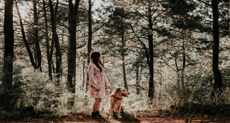 &Kappa;&alpha;&nu;&alpha;&delta;ά&sigmaf;: &Pi;&rho;&omega;&tau;&omicron;&phi;&alpha;&nu;ή&sigmaf; &sigma;&upsilon;&nu;&tau;&alpha;&gamma;&omicron;&gamma;&rho;ά&phi;&eta;&sigma;&eta; &gamma;&iota;&alpha; &tau;&eta;&nu; &alpha;&nu;&tau;&iota;&mu;&epsilon;&tau;ώ&pi;&iota;&sigma;&eta; &tau;&omicron;&upsilon; ά&gamma;&chi;&omicron;&upsilon;&sigmaf; &kappa;&iota; ά&lambda;&lambda;&omega;&nu; &pi;&rho;&omicron;&beta;&lambda;&eta;&mu;ά&tau;&omega;&nu; &upsilon;&gamma;&epsilon;ί&alpha;&sigmaf;