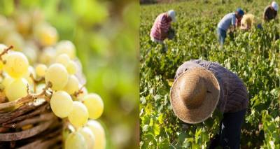 &Alpha;.&Sigma;. &Lambda;&Eta;&Mu;&Nu;&Omicron;&Upsilon; - &Eta; &Epsilon;&Nu;&Omega;&Sigma;&Eta;: &Xi;&epsilon;&kappa;ί&nu;&eta;&sigma;&epsilon; &eta; &delta;&iota;&alpha;&delta;&iota;&kappa;&alpha;&sigma;ί&alpha; &Epsilon;&pi;&iota;&sigma;&tau;&rho;&omicron;&phi;ή&sigmaf; &Phi;&Pi;&Alpha; &tau;&omicron;&upsilon; έ&tau;&omicron;&upsilon;&sigmaf; 2022