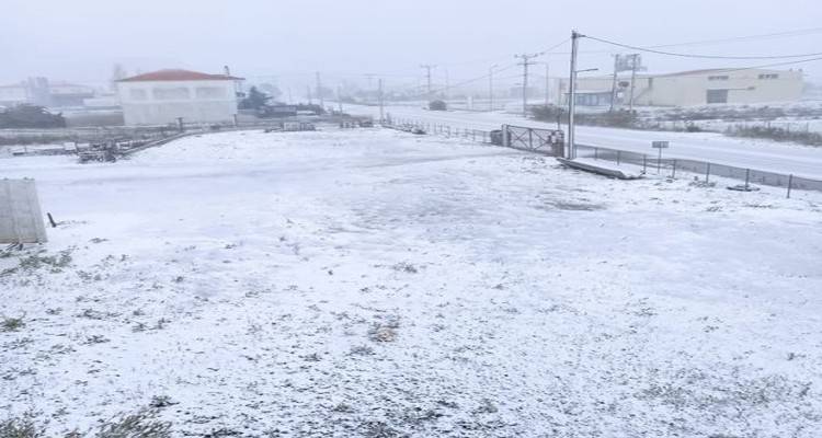 Φωτο: Διονύσης Μπαλδεράνος