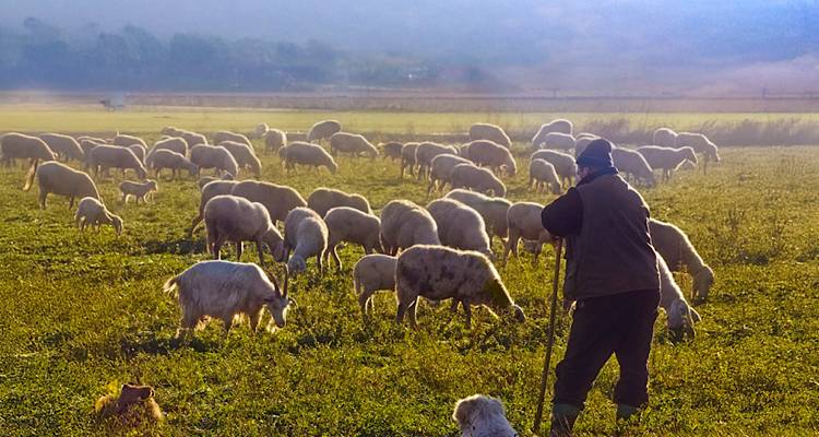 &Lambda;ή&mu;&nu;&omicron;&sigmaf;: &Omicron;&mu;ό&phi;&omega;&nu;&omicron; &psi;ή&phi;&iota;&sigma;&mu;&alpha; &tau;&eta;&sigmaf; &Lambda;&alpha;ϊ&kappa;ή&sigmaf; &Sigma;&upsilon;&sigma;&pi;&epsilon;ί&rho;&omega;&sigma;&eta;&sigmaf; &gamma;&iota;&alpha; &tau;&eta;&nu; &epsilon;&upsilon;&lambda;&omicron;&gamma;&iota;ά &alpha;&pi;&omicron; &tau;&omicron; &Delta;&eta;&mu;&omicron;&tau;&iota;&kappa;ό &Sigma;&upsilon;&mu;&beta;&omicron;ύ&lambda;&iota;&omicron;