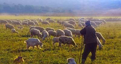 &Lambda;ή&mu;&nu;&omicron;&sigmaf;: &Omicron;&mu;ό&phi;&omega;&nu;&omicron; &psi;ή&phi;&iota;&sigma;&mu;&alpha; &tau;&eta;&sigmaf; &Lambda;&alpha;ϊ&kappa;ή&sigmaf; &Sigma;&upsilon;&sigma;&pi;&epsilon;ί&rho;&omega;&sigma;&eta;&sigmaf; &gamma;&iota;&alpha; &tau;&eta;&nu; &epsilon;&upsilon;&lambda;&omicron;&gamma;&iota;ά &alpha;&pi;&omicron; &tau;&omicron; &Delta;&eta;&mu;&omicron;&tau;&iota;&kappa;ό &Sigma;&upsilon;&mu;&beta;&omicron;ύ&lambda;&iota;&omicron;