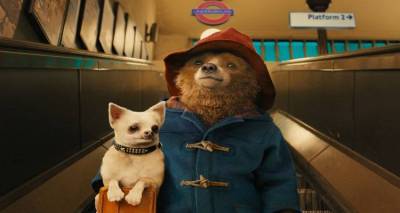 Ο «Paddington» έρχεται στο Μαρούλα (video)