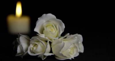 &Kappa;&alpha;&kappa;&omicron;&kappa;&alpha;&iota;&rho;ί&alpha; Bora: &Eta; &Lambda;ή&mu;&nu;&omicron;&sigmaf; &alpha;&pi;&omicron;&chi;&alpha;&iota;&rho;&epsilon;&tau;ά &tau;&omicron;&upsilon;&sigmaf; &nu;&epsilon;&kappa;&rho;&omicron;ύ&sigmaf; &tau;&eta;&sigmaf;