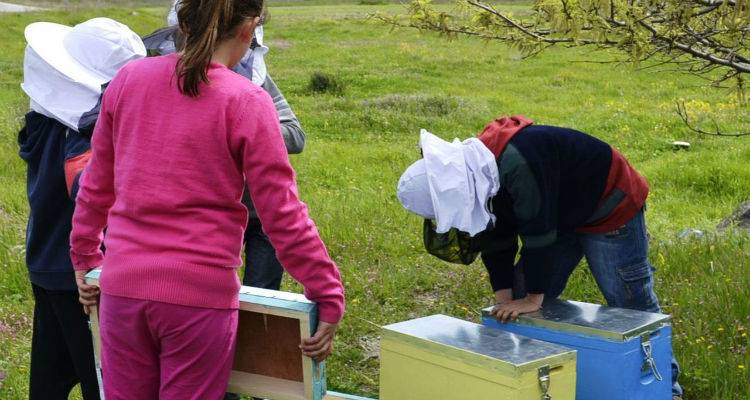 Ίδρυμα Λάτση: Δέκα χρόνια κοινωνικής προσφοράς | Σταθμός στις δράσεις του και η Λήμνος (photos)