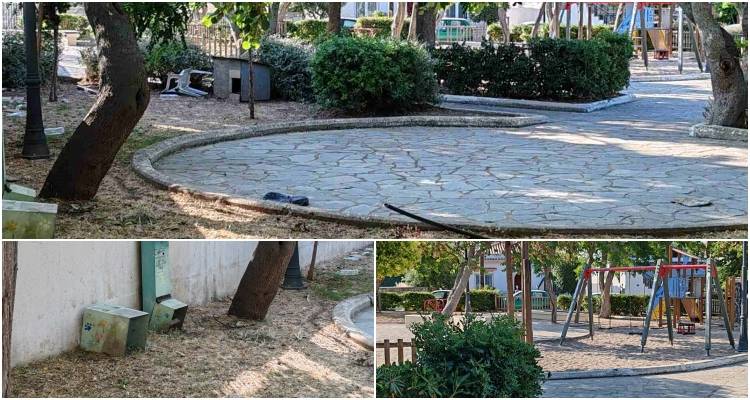 Ψύλλοι στο πάρκο του Ανδρωνίου | Προσοχή από κατοίκους και έκκληση για άμεση παρέμβαση