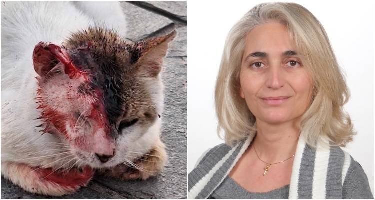 Το Φιλοζωικό Σωματείο Λήμνου διευκρινίζει...