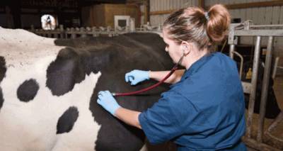 &Gamma;&Epsilon;&Omega;&Tau;&Epsilon;&Epsilon;: Ά&mu;&epsilon;&sigma;&eta; &alpha;&nu;ά&gamma;&kappa;&eta; &gamma;&iota;&alpha; &sigma;&tau;&epsilon;&lambda;έ&chi;&omega;&sigma;&eta; &tau;&eta;&sigmaf; &Delta;/&nu;&sigma;&eta;&sigmaf; &Kappa;&tau;&eta;&nu;&iota;&alpha;&tau;&rho;&iota;&kappa;ή&sigmaf; &Pi;&epsilon;&rho;&iota;&phi;έ&rho;&epsilon;&iota;&alpha;&sigmaf; &Beta;. &Alpha;&iota;&gamma;&alpha;ί&omicron;&upsilon;