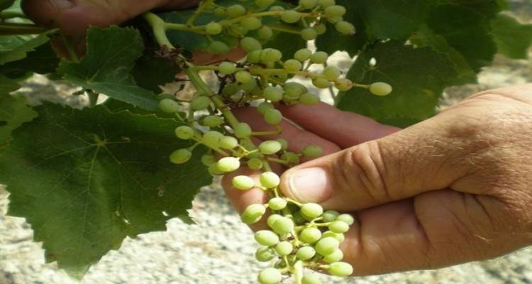 &Lambda;ή&mu;&nu;&omicron;&sigmaf;: &Xi;&epsilon;&kappa;ί&nu;&eta;&sigma;&alpha;&nu; &omicron;&iota; &alpha;&iota;&tau;ή&sigma;&epsilon;&iota;&sigmaf; &gamma;&iota;&alpha; &zeta;&eta;&mu;&iota;έ&sigmaf; &alpha;&pi;ό &tau;&omicron;&nu; &kappa;&alpha;ύ&sigma;&omega;&nu;&alpha;