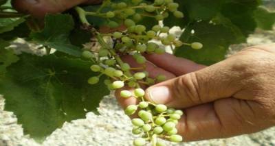 &Lambda;ή&mu;&nu;&omicron;&sigmaf;: &Xi;&epsilon;&kappa;ί&nu;&eta;&sigma;&alpha;&nu; &omicron;&iota; &alpha;&iota;&tau;ή&sigma;&epsilon;&iota;&sigmaf; &gamma;&iota;&alpha; &zeta;&eta;&mu;&iota;έ&sigmaf; &alpha;&pi;ό &tau;&omicron;&nu; &kappa;&alpha;ύ&sigma;&omega;&nu;&alpha;