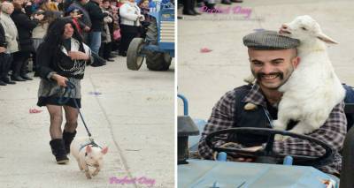 &Tau;&omicron; &Alpha;nimal Rescue Lemnos &epsilon;&nu;&eta;&mu;&epsilon;&rho;ώ&nu;&epsilon;&iota; &epsilon;&nu;ό&psi;&epsilon;&iota; &tau;&omega;&nu; &phi;&epsilon;&tau;&iota;&nu;ώ&nu; &kappa;&alpha;&rho;&nu;&alpha;&beta;&alpha;&lambda;&iota;&kappa;ώ&nu; &epsilon;&kappa;&delta;&eta;&lambda;ώ&sigma;&epsilon;&omega;&nu;