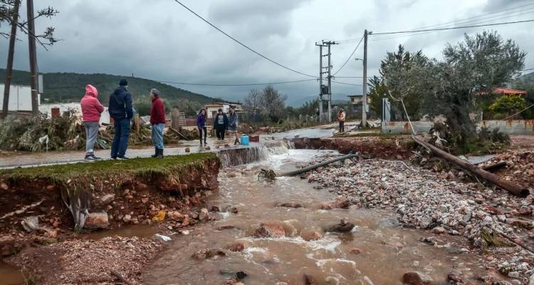 &Mu;ά&nu;&delta;&rho;&alpha;: &Xi;&epsilon;&kappa;ί&nu;&eta;&sigma;&epsilon; &sigma;&tau;&omicron; &Tau;&rho;&iota;&mu;&epsilon;&lambda;έ&sigmaf; &Epsilon;&phi;&epsilon;&tau;&epsilon;ί&omicron; &Pi;&lambda;&eta;&mu;&mu;&epsilon;&lambda;&eta;&mu;ά&tau;&omega;&nu; &eta; &delta;ί&kappa;&eta; &gamma;&iota;&alpha; &tau;&eta; &phi;&omicron;&nu;&iota;&kappa;ή &pi;&lambda;&eta;&mu;&mu;ύ&rho;&alpha; | &laquo;Ή&tau;&alpha;&nu; &xi;&alpha;&phi;&nu;&iota;&kappa;ή &kappa;&alpha;&iota; &alpha;&pi;&rho;ό&beta;&lambda;&epsilon;&pi;&tau;&eta;&raquo;
