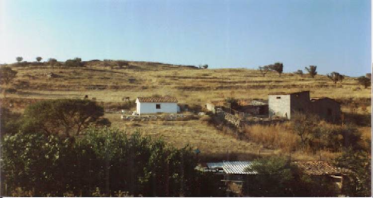 &Kappa;&alpha;&mu;ί&nu;&iota;&alpha; &Lambda;ή&mu;&nu;&omicron;&upsilon;: &Omicron; Ά&gamma;. &Alpha;&lambda;έ&xi;&alpha;&nu;&delta;&rho;&omicron;&sigmaf; &sigma;&tau;&omicron; &Sigma;ώ&kappa;&alpha;&sigma;&tau;&rho;&omicron; &kappa;&alpha;&iota; &eta; &pi;&epsilon;&rho;ί&phi;&eta;&mu;&eta; &pi;&epsilon;&lambda;&alpha;&sigma;&gamma;&iota;&kappa;ή &Sigma;&tau;ή&lambda;&eta;