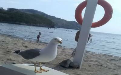 &Sigma;&tau;&omicron;&upsilon;&sigmaf; 27 &beta;&alpha;&theta;&mu;&omicron;ύ&sigmaf; &sigma;ή&mu;&epsilon;&rho;&alpha; &omicron; &upsilon;&delta;&rho;ά&rho;&gamma;&upsilon;&rho;&omicron;&sigmaf; &sigma;&tau;&eta; &Lambda;ή&mu;&nu;&omicron; (mp3)