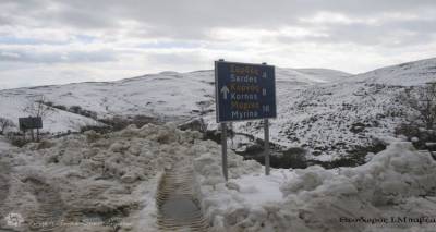 &Sigma;&upsilon;&nu;&epsilon;&delta;&rho;ί&alpha;&sigma;&eta; &gamma;&iota;&alpha; &tau;&omicron; &Sigma;&upsilon;&nu;&tau;&omicron;&nu;&iota;&sigma;&tau;&iota;&kappa;ό Ό&rho;&gamma;&alpha;&nu;&omicron; &Pi;&omicron;&lambda;&iota;&tau;&iota;&kappa;ή&sigmaf; &Pi;&rho;&omicron;&sigma;&tau;&alpha;&sigma;ί&alpha;&sigmaf; &Pi;&epsilon;&rho;&iota;&phi;&epsilon;&rho;&epsilon;&iota;&alpha;&kappa;ή&sigmaf; &Epsilon;&nu;ό&tau;&eta;&tau;&alpha;&sigmaf; &Lambda;ή&mu;&nu;&omicron;&upsilon;.