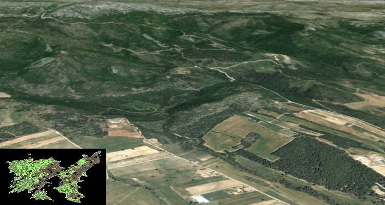 Λήμνος: Βήμα-βήμα οι ενστάσεις για τους δασικούς χάρτες