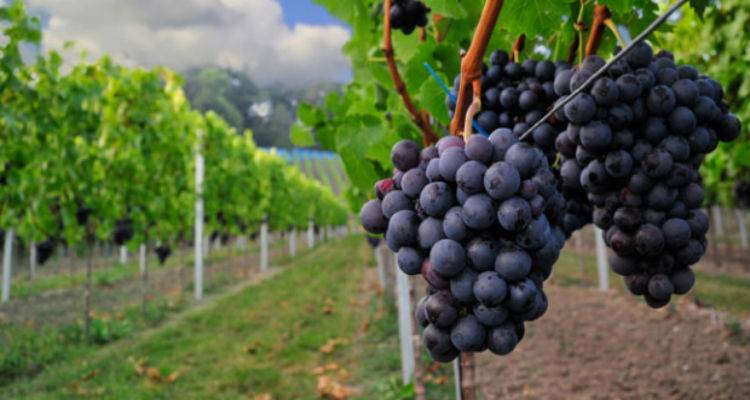 &Pi;&rho;ό&epsilon;&delta;&rho;&omicron;&sigmaf; &Epsilon;&Alpha;&Sigma; &Lambda;ή&mu;&nu;&omicron;&upsilon;: &laquo;&Sigma;&upsilon;&nu;&epsilon;&chi;ώ&sigmaf; &gamma;&iota;&nu;ό&mu;&alpha;&sigma;&tau;&epsilon; &delta;έ&kappa;&tau;&epsilon;&sigmaf; &pi;&alpha;&rho;&alpha;&pi;ό&nu;&omega;&nu; &alpha;&pi;ό &pi;&alpha;&rho;&alpha;&gamma;&omega;&gamma;&omicron;ύ&sigmaf; &gamma;&iota;&alpha; &tau;&omicron; &theta;έ&mu;&alpha; &tau;&eta;&sigmaf; &epsilon;&xi;&iota;&sigma;&omega;&tau;&iota;&kappa;ή&sigmaf;&raquo;