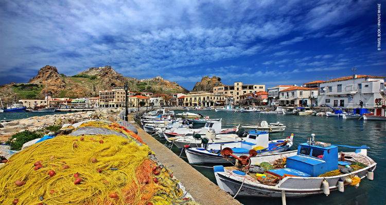 &Lambda;&iota;&mu;&epsilon;&nu;&iota;&kappa;ό &Tau;&alpha;&mu;&epsilon;ί&omicron; &Lambda;ή&mu;&nu;&omicron;&upsilon;: Έ&kappa;&pi;&tau;&omega;&sigma;&eta; &mu;&epsilon; &tau;&eta;&nu; &pi;&rho;&omicron;&kappa;&alpha;&tau;&alpha;&beta;&omicron;&lambda;ή &tau;&omega;&nu; &lambda;&iota;&mu;&epsilon;&nu;&iota;&kappa;ώ&nu; &tau;&epsilon;&lambda;ώ&nu;