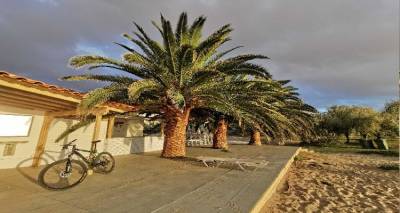 &Omicron; "&Omega;&kappa;ύ&alpha;&lambda;&omicron;&sigmaf;" &alpha;&pi;&alpha;&nu;&tau;ά&epsilon;&iota; &sigma;&tau;&eta;&nu; "&Alpha;&nu;&epsilon;&mu;ό&epsilon;&sigma;&sigma;&alpha;"