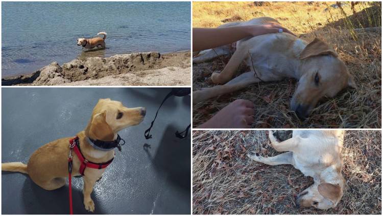 &Lambda;ή&mu;&nu;&omicron;&sigmaf;: &laquo;&Gamma;&nu;ώ&rho;&iota;&sigma;&alpha; &tau;&omicron;&upsilon;&sigmaf; &alpha;&nu;&theta;&rho;ώ&pi;&omicron;&upsilon;&sigmaf; &kappa;&alpha;&iota; &alpha;&gamma;ά&pi;&eta;&sigma;&alpha; &tau;&alpha; &zeta;ώ&alpha;&raquo;