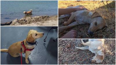 &Lambda;ή&mu;&nu;&omicron;&sigmaf;: &laquo;&Gamma;&nu;ώ&rho;&iota;&sigma;&alpha; &tau;&omicron;&upsilon;&sigmaf; &alpha;&nu;&theta;&rho;ώ&pi;&omicron;&upsilon;&sigmaf; &kappa;&alpha;&iota; &alpha;&gamma;ά&pi;&eta;&sigma;&alpha; &tau;&alpha; &zeta;ώ&alpha;&raquo;