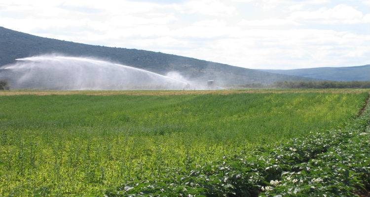 &Gamma;&epsilon;&omega;&rho;&gamma;&iota;&kappa;ό &sigma;ύ&mu;&beta;&omicron;&upsilon;&lambda;&omicron; &upsilon;&pi;&omicron;&chi;&rho;&epsilon;&omicron;ύ&nu;&tau;&alpha;&iota; &nu;&alpha; &pi;&rho;&omicron;&sigma;&lambda;ά&beta;&omicron;&upsilon;&nu; &omicron;&iota; &beta;&iota;&omicron;&kappa;&alpha;&lambda;&lambda;&iota;&epsilon;&rho;&gamma;&eta;&tau;έ&sigmaf; &tau;&eta;&sigmaf; &Lambda;ή&mu;&nu;&omicron;&upsilon;