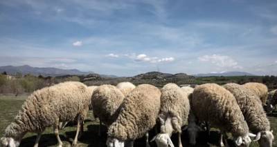 teleftaia-ekseliksi-epivevaiothike-to-kroysma-evlogias-sti-limno-amesi-sfagi-tou-kopadioy