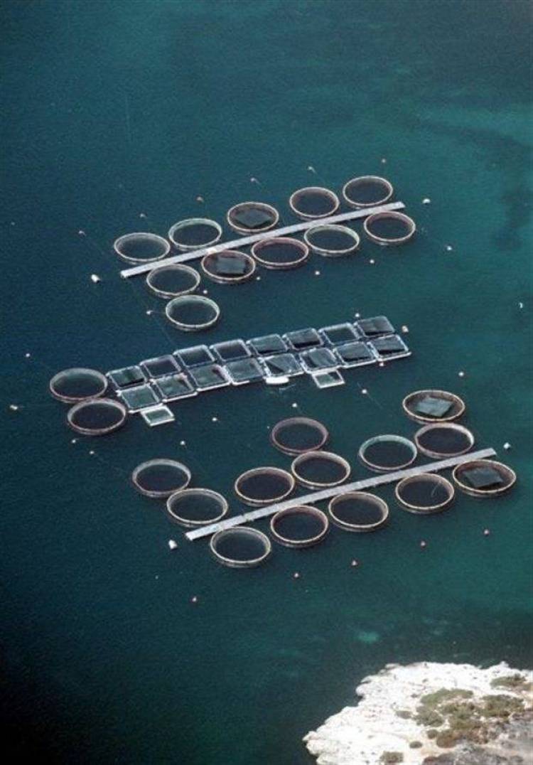 Οι Ρώσοι απαγόρευσαν τις εισαγωγές από την Ελλάδα