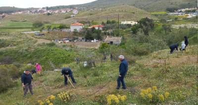 &Kappa;&omicron;&rho;&nu;ό&sigmaf; &ndash; &Lambda;ή&mu;&nu;&omicron;&sigmaf;: 200 &delta;έ&nu;&tau;&rho;&alpha; &phi;&upsilon;&tau;&epsilon;ύ&tau;&eta;&kappa;&alpha;&nu; &alpha;&pi;ό &tau;&omicron;&upsilon;&sigmaf; &mu;&alpha;&theta;&eta;&tau;έ&sigmaf;  &tau;&omicron;&upsilon; &Gamma;&upsilon;&mu;&nu;&alpha;&sigma;ί&omicron;&upsilon; &Mu;ύ&rho;&iota;&nu;&alpha;&sigmaf;