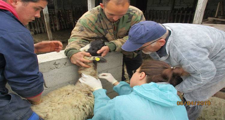 &Lambda;ή&mu;&nu;&omicron;&sigmaf;: &Epsilon;&nu;έ&rho;&gamma;&epsilon;&iota;&epsilon;&sigmaf; &tau;&alpha;&upsilon;&tau;&omicron;&pi;&omicron;ί&eta;&sigma;&eta;&sigmaf; &tau;&eta;&sigmaf; &nu;&tau;ό&pi;&iota;&alpha;&sigmaf; &phi;&upsilon;&lambda;ή&sigmaf; &pi;&rho;&omicron;&beta;ά&tau;&omega;&nu;