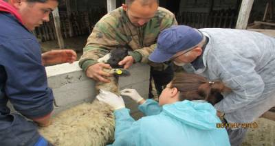 &Lambda;ή&mu;&nu;&omicron;&sigmaf;: &Epsilon;&nu;έ&rho;&gamma;&epsilon;&iota;&epsilon;&sigmaf; &tau;&alpha;&upsilon;&tau;&omicron;&pi;&omicron;ί&eta;&sigma;&eta;&sigmaf; &tau;&eta;&sigmaf; &nu;&tau;ό&pi;&iota;&alpha;&sigmaf; &phi;&upsilon;&lambda;ή&sigmaf; &pi;&rho;&omicron;&beta;ά&tau;&omega;&nu;