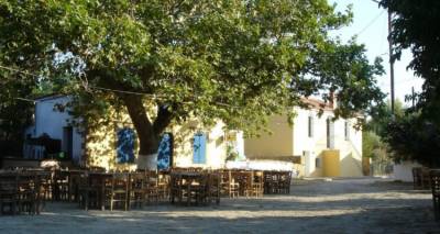 Πεδινό: Τα αποτελέσματα της τοπικής κοινότητας