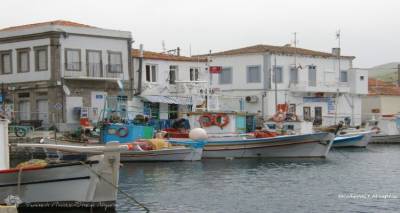 &Kappa;&rho;&alpha;&upsilon;&gamma;ή &alpha;&gamma;&omega;&nu;ί&alpha;&sigmaf; &alpha;&pi;ό &tau;&omicron;&upsilon;&sigmaf; &epsilon;&pi;&alpha;&gamma;&gamma;&epsilon;&lambda;&mu;&alpha;&tau;ί&epsilon;&sigmaf; &alpha;&lambda;&iota;&epsilon;ί&sigmaf; &sigma;&tau;&eta; &Lambda;ή&mu;&nu;&omicron;