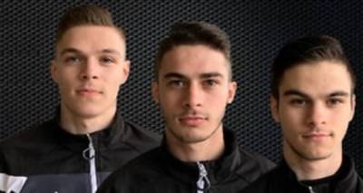 &Tau;&rho;ί&delta;&upsilon;&mu;&alpha; &Epsilon;&lambda;&lambda;&eta;&nu;ό&pi;&omicron;&upsilon;&lambda;&alpha; &tau;&eta;&sigmaf; &Mu;&epsilon;&lambda;&beta;&omicron;ύ&rho;&nu;&eta;&sigmaf; &kappa;&upsilon;&nu;&eta;&gamma;&omicron;ύ&nu; &tau;&omicron; &pi;&omicron;&delta;&omicron;&sigma;&phi;&alpha;&iota;&rho;&iota;&kappa;ό &tau;&omicron;&upsilon;&sigmaf; ό&nu;&epsilon;&iota;&rho;&omicron; &sigma;&tau;&eta;&nu; ί&delta;&iota;&alpha; &omicron;&mu;ά&delta;&alpha;