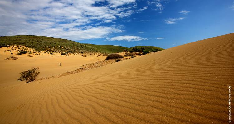 &Phi;&omega;&tau;&omicron;&gamma;&rho;&alpha;&phi;ί&alpha;: &Eta;&rho;&alpha;&kappa;&lambda;ή&sigmaf; &Mu;ή&lambda;&alpha;&sigmaf; 