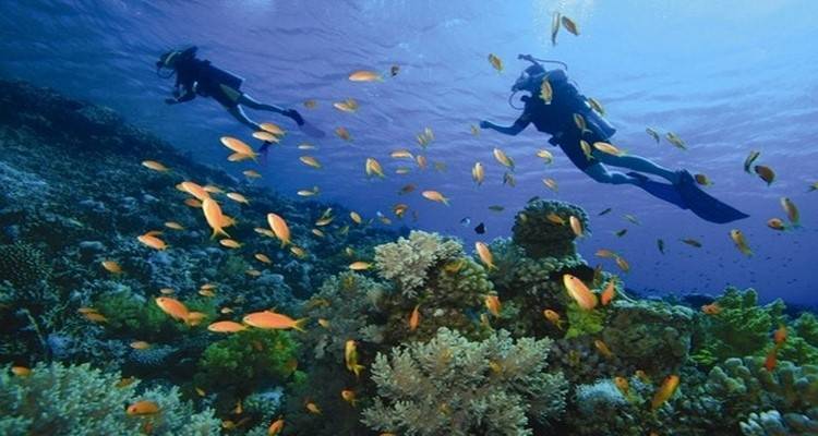 Η Λήμνος ανάμεσα στους καλύτερους καταδυτικούς προορισμούς στον κόσμο σύμφωνα με τη βρετανική «Independent»