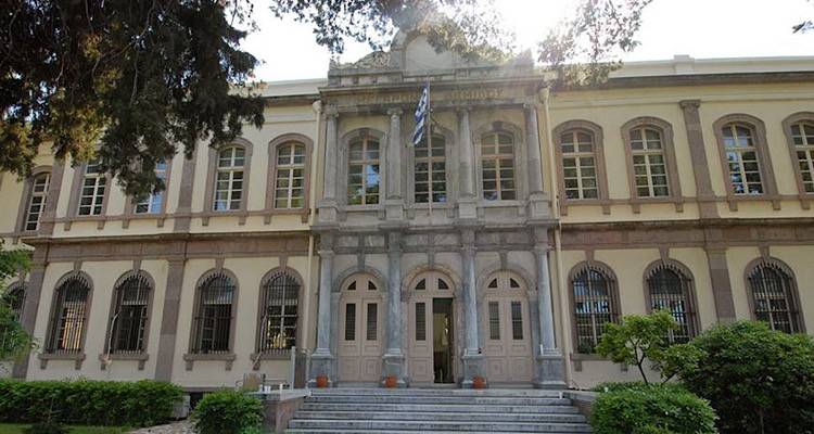 Λήμνος: Δικαστική αθώωση για τον 31χρονο που κατηγορήθηκε για κακομεταχείριση σκύλων