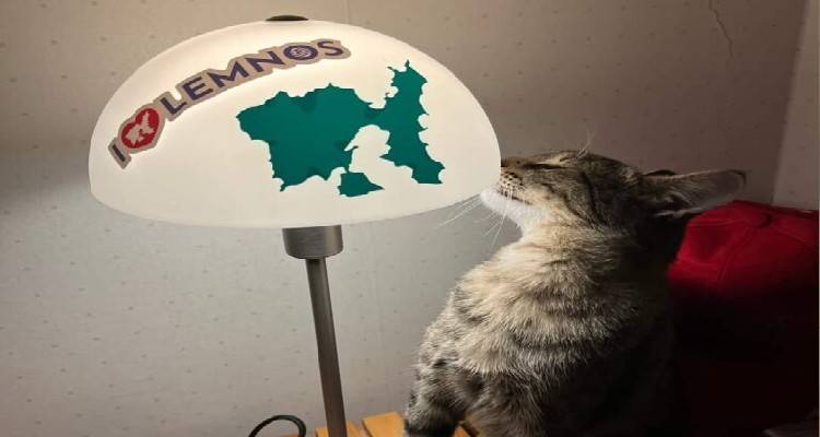 &Zeta;&omicron;ύ&sigma;&epsilon; &alpha;&delta;έ&sigma;&pi;&omicron;&tau;&eta; &sigma;&epsilon; &pi;&alpha;&rho;&alpha;&lambda;ί&alpha; &tau;&eta;&sigmaf; &Lambda;ή&mu;&nu;&omicron;&upsilon;- &Upsilon;&iota;&omicron;&theta;&epsilon;&tau;ή&theta;&eta;&kappa;&epsilon; &sigma;&tau;&eta; &chi;&iota;&omicron;&nu;&iota;&sigma;&mu;έ&nu;&eta; &Sigma;&omicron;&upsilon;&eta;&delta;ί&alpha; &kappa;&alpha;&iota; &pi;&epsilon;&rho;&nu;ά&epsilon;&iota; &tau;έ&lambda;&epsilon;&iota;&alpha;