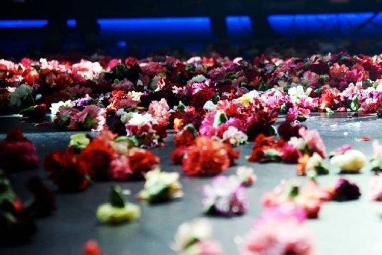 &Epsilon;&delta;ώ &Theta;&epsilon;&sigma;&sigma;&alpha;&lambda;&omicron;&nu;ί&kappa;&eta;: &Pi;ό&tau;&epsilon; &gamma;ί&nu;&alpha;&mu;&epsilon; &sigma;&kappa;&upsilon;&lambda;&omicron;ύ&pi;&omicron;&lambda;&eta;;