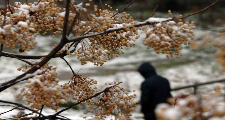 &Nu;έ&omicron; &kappa;ύ&mu;&alpha; &chi;&iota;&omicron;&nu;&iota;ά &mu;&epsilon; &pi;&tau;ώ&sigma;&eta; &tau;&eta;&sigmaf; &theta;&epsilon;&rho;&mu;&omicron;&kappa;&rho;&alpha;&sigma;ί&alpha;&sigmaf;