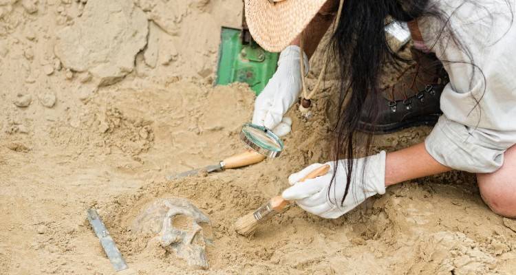 Θα γραφτούν ξανά τα βιβλία της ευρωπαϊκής προϊστορίας; | Ευρήματα αλλάζουν τα δεδομένα για τους πρώτους Homo sapiens