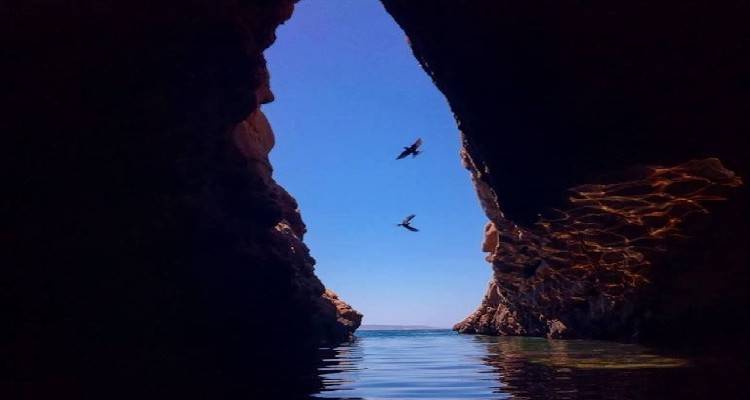 &Tau;&alpha; &Kappa;&alpha;&beta;&epsilon;ί&rho;&iota;&alpha; &Mu;&upsilon;&sigma;&tau;ή&rho;&iota;&alpha;, &eta; &mu;ύ&eta;&sigma;&eta;, &eta; &sigma;&pi;&eta;&lambda;&iota;ά &tau;&omicron;&upsilon; &Phi;&iota;&lambda;&omicron;&kappa;&tau;ή&tau;&eta; &kappa;&alpha;&iota; &tau;&omicron; &mu;&upsilon;&eta;&tau;&iota;&kappa;ό &tau;&alpha;&xi;ί&delta;&iota; &alpha;&upsilon;&tau;&omicron;&gamma;&nu;&omega;&sigma;ί&alpha;&sigmaf;.