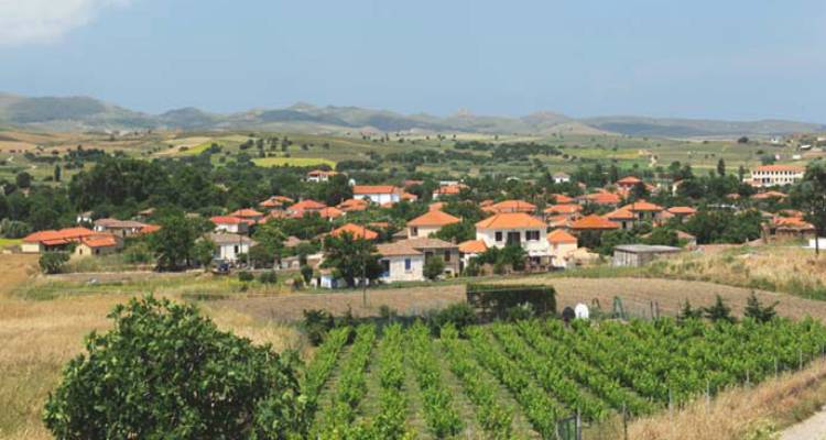 &Lambda;&iota;&beta;&alpha;&delta;&omicron;&chi;ώ&rho;&iota;: &Tau;&alpha; &alpha;&pi;&omicron;&tau;&epsilon;&lambda;έ&sigma;&mu;&alpha;&tau;&alpha; &tau;&eta;&sigmaf; &tau;&omicron;&pi;&iota;&kappa;ή&sigmaf; &kappa;&omicron;&iota;&nu;ό&tau;&eta;&tau;&alpha;&sigmaf;