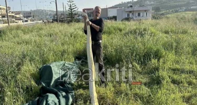 &Kappa;&rho;ή&tau;&eta;: &Pi;ή&gamma;&alpha;&nu; &sigma;&tau;&omicron; &chi;&omega;&rho;ά&phi;&iota; &kappa;&alpha;&iota; &beta;&rho;ή&kappa;&alpha;&nu; &pi;ύ&theta;&omega;&nu;&alpha; 5 &mu;έ&tau;&rho;&omega;&nu; -&Delta;&epsilon;ί&tau;&epsilon; &epsilon;&iota;&kappa;ό&nu;&epsilon;&sigmaf;