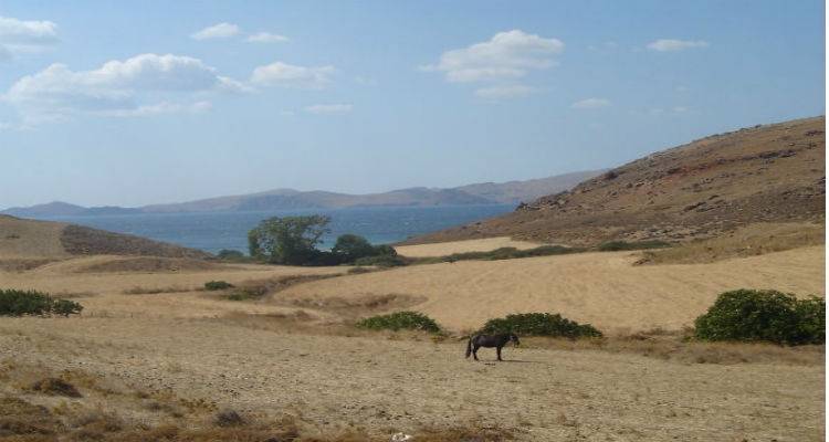 &quot;Γιατί αυτό είναι η Λήμνος, φορτιστής...&quot;