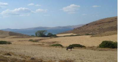 &quot;Γιατί αυτό είναι η Λήμνος, φορτιστής...&quot;