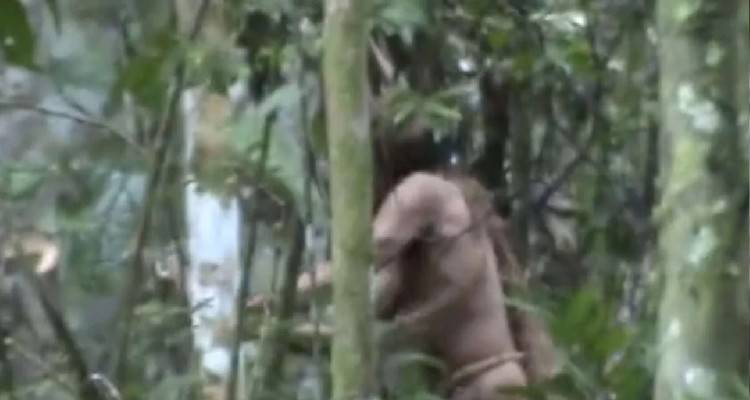 &Tau;&omicron; &tau;&rho;&alpha;&gamma;&iota;&kappa;ό &tau;έ&lambda;&omicron;&sigmaf; &tau;&omicron;&upsilon; &pi;&iota;&omicron; &mu;&omicron;&nu;&alpha;&chi;&iota;&kappa;&omicron;ύ &alpha;&nu;&theta;&rho;ώ&pi;&omicron;&upsilon;: &Eta; &phi;&upsilon;&lambda;ή &tau;&omicron;&upsilon; &sigma;&tau;&omicron;&nu; &Alpha;&mu;&alpha;&zeta;ό&nu;&iota;&omicron; &delta;&omicron;&lambda;&omicron;&phi;&omicron;&nu;ή&theta;&eta;&kappa;&epsilon;, &gamma;&iota;&alpha; 26 &chi;&rho;ό&nu;&iota;&alpha; &epsilon;&pi;&iota;&beta;ί&omega;&sigma;&epsilon; &mu;ό&nu;&omicron;&sigmaf;