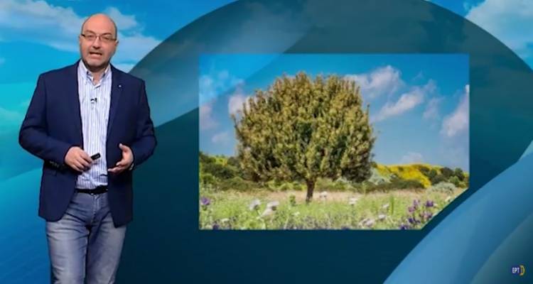 &Eta; &pi;&rho;ό&gamma;&nu;&omega;&sigma;&eta; &tau;&omicron;&upsilon; &kappa;&alpha;&iota;&rho;&omicron;ύ &alpha;&pi;ό &tau;&omicron;&nu; &Sigma;ά&kappa;&eta; &Alpha;&rho;&nu;&alpha;&omicron;ύ&tau;&omicron;&gamma;&lambda;&omicron;&upsilon; (video)